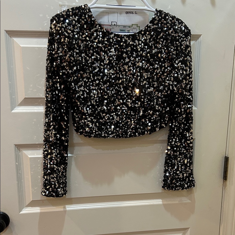 Olivaceous Black Sequin Long-Sleeve Crop Top